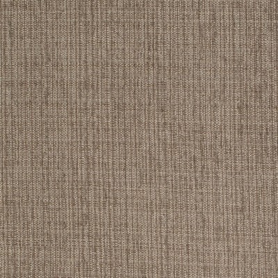 Charlotte Fabrics Y1427 Latte