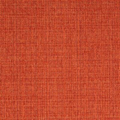 Charlotte Fabrics Y1428 Apricot