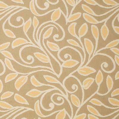 Charlotte Fabrics Y1466 Camel