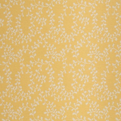 Charlotte Fabrics Y1467 Daffodil