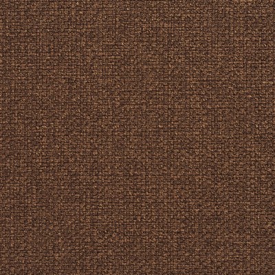 Charlotte Fabrics Y1506 Walnut