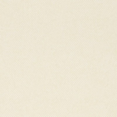 Charlotte Fabrics Y1530 Natural Texture