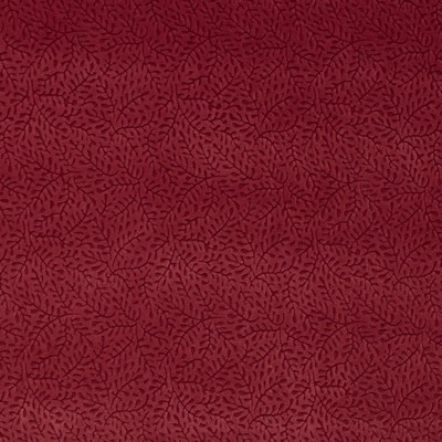 Charlotte Fabrics Y1531 Merlot Vine