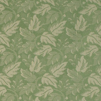 Charlotte Fabrics Y1541 Ivy/Leaf