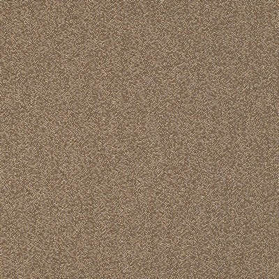 Charlotte Fabrics Y1545 Acorn