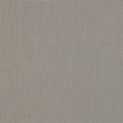 Charlotte Fabrics Y1555 Denim/Dot