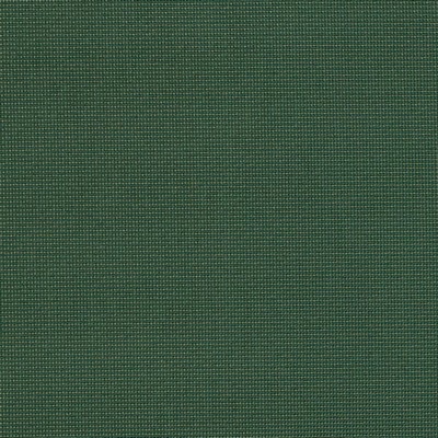 Charlotte Fabrics Y1556 Spruce/Dot