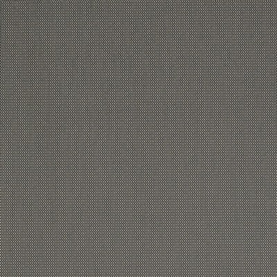 Charlotte Fabrics Y1562 Pewter/Dot