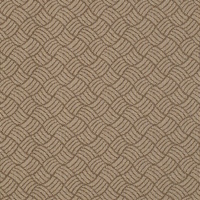 Charlotte Fabrics Y1572 Acorn/Metro