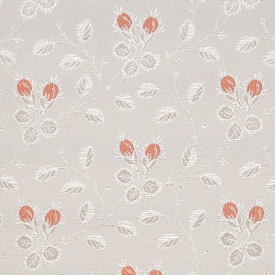 Charlotte Fabrics Y1578 Coral Vine