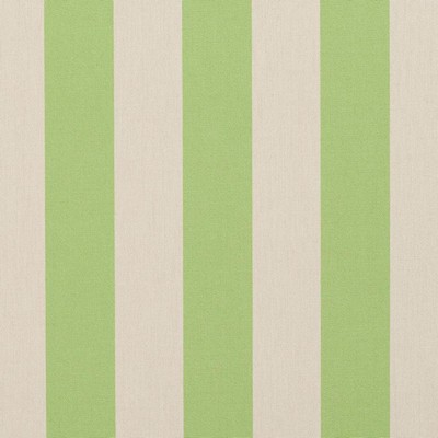 Charlotte Fabrics Y1641 Spring Stripe