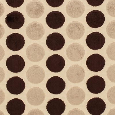 Charlotte Fabrics Y1686 Espresso