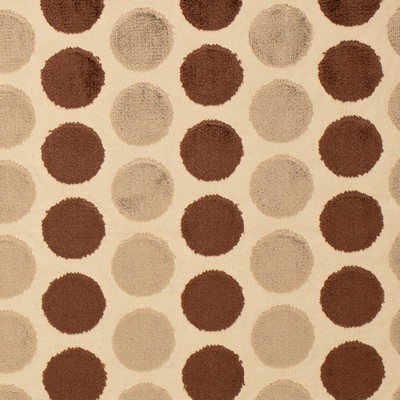 Charlotte Fabrics Y1688 Latte