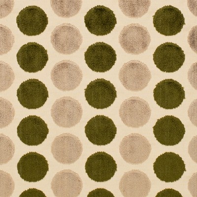 Charlotte Fabrics Y1689 Evergreen