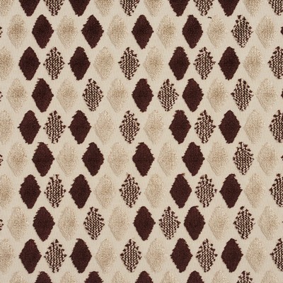 Charlotte Fabrics Y1691 Espresso