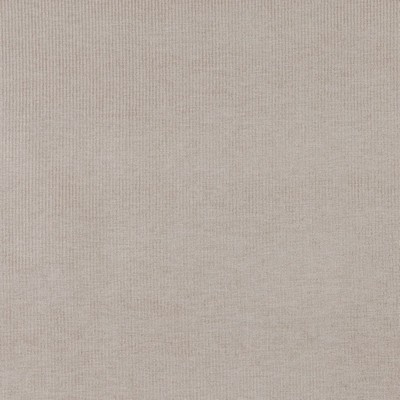 Charlotte Fabrics Y1698 Sand Stripe