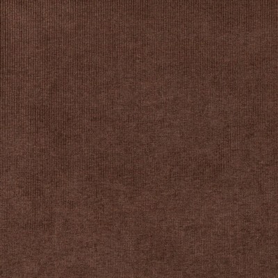 Charlotte Fabrics Y1703 Chocolate Stripe