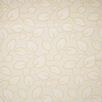 Charlotte Fabrics Y1773 Natural