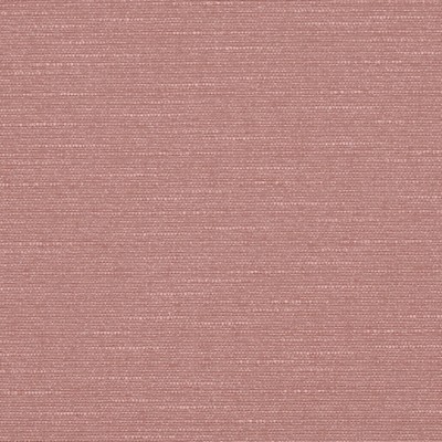 Charlotte Fabrics Y1781 Plum