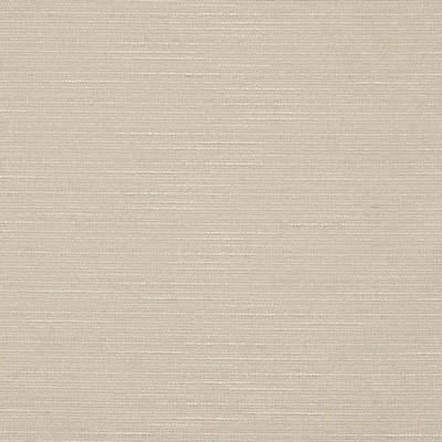 Charlotte Fabrics Y1783 Putty