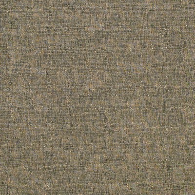 Charlotte Fabrics Y1791 Graphite