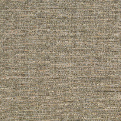 Charlotte Fabrics Y1795 Pewter