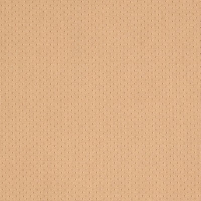 Charlotte Fabrics Y1810 Sand Dot