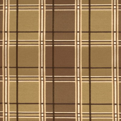 Charlotte Fabrics Y1828 Honey Pecan