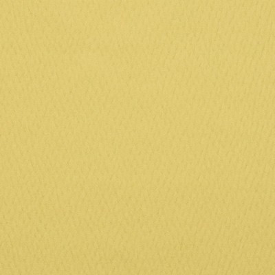 Charlotte Fabrics Y1842 Lemon Grass