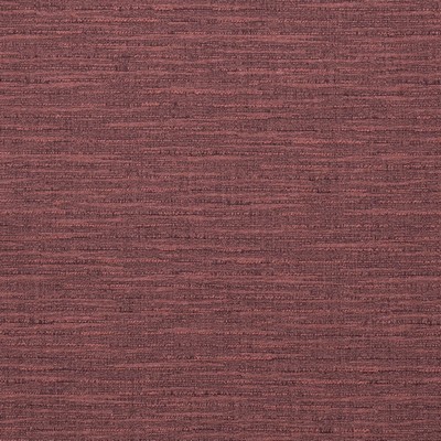 Charlotte Fabrics Y1864 Blackberry