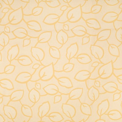 Charlotte Fabrics Y1872 Marigold