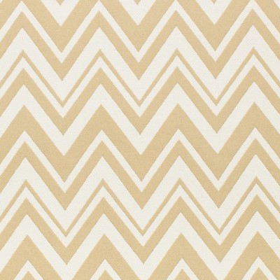 Charlotte Fabrics Y1877 Neutral