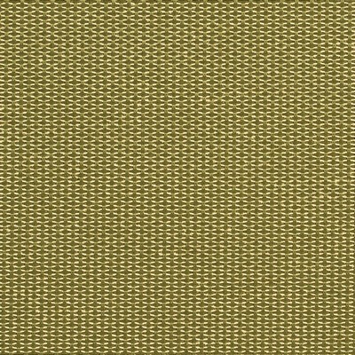 Charlotte Fabrics Y1978 Cactus