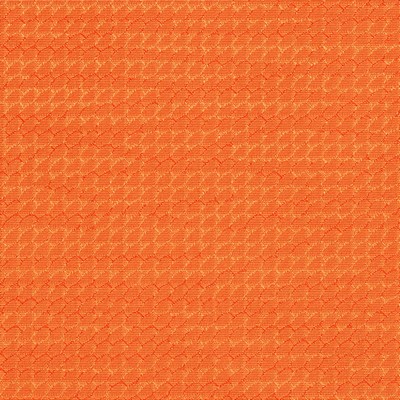 Charlotte Fabrics Y1981 Apricot