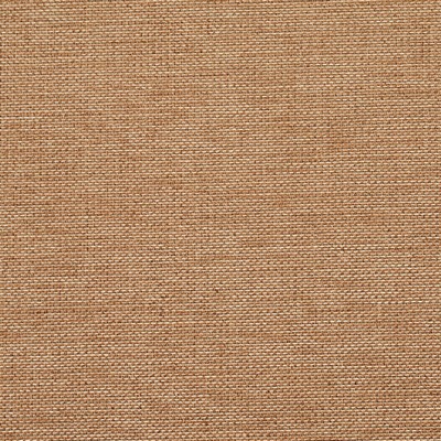 Charlotte Fabrics Y2024 Latte