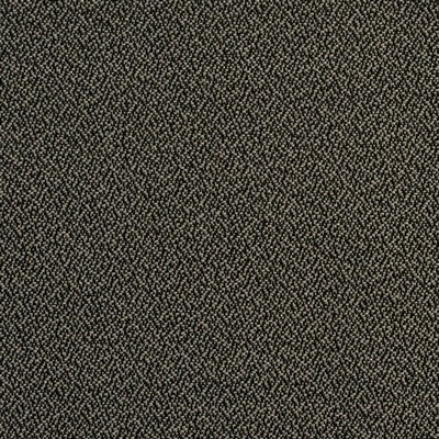 Charlotte Fabrics Y2043 Graphite