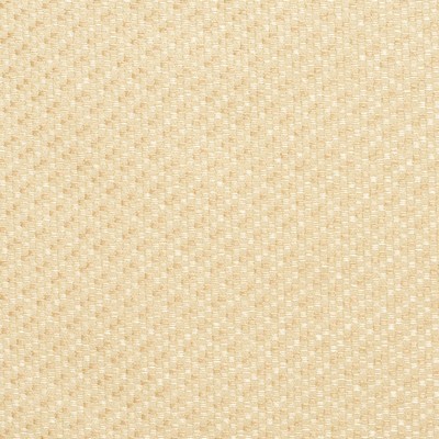 Charlotte Fabrics Y2055 Champagne Tweed