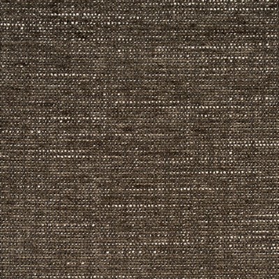 Charlotte Fabrics Y2077 Steel