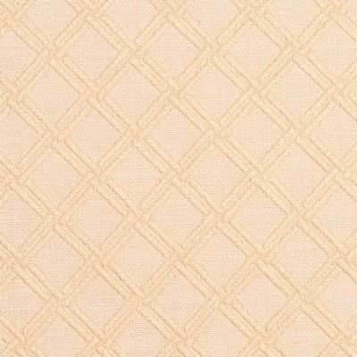 Charlotte Fabrics Y2099 Natural Diamond