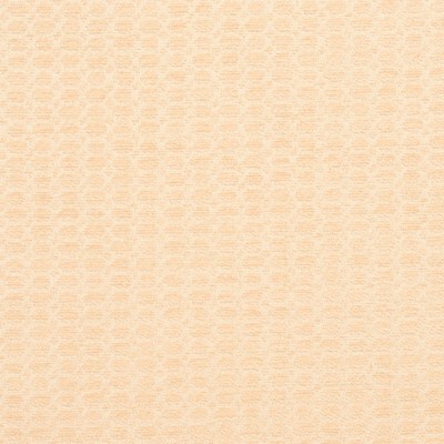 Charlotte Fabrics Y2146 Opal