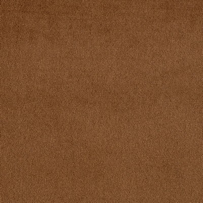 Charlotte Fabrics Y2201 Pecan