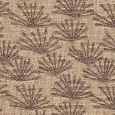 Charlotte Fabrics Y2226 Desert