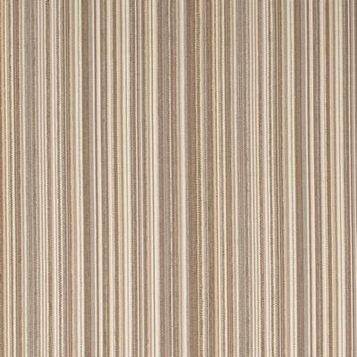 Charlotte Fabrics Y2234 Birch