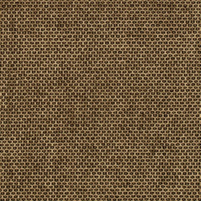 Charlotte Fabrics Y2268 Golden