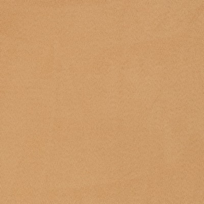 Charlotte Fabrics Y2306 Fawn