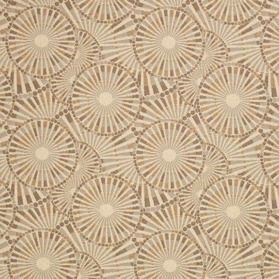 Charlotte Fabrics Y2314 Desert