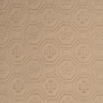 Charlotte Fabrics Y2325 Neutral