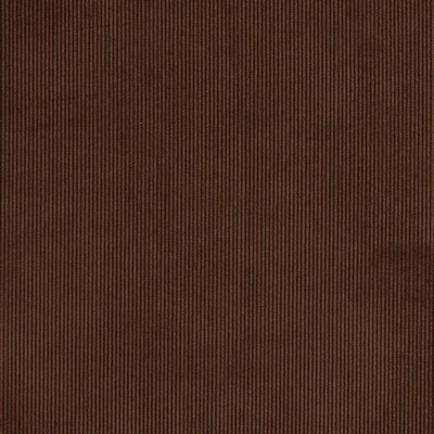 Charlotte Fabrics Y2331 Chocolate