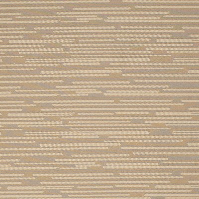 Charlotte Fabrics Y2343 Birch