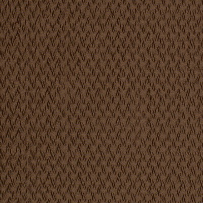 Charlotte Fabrics Y2344 Chestnut